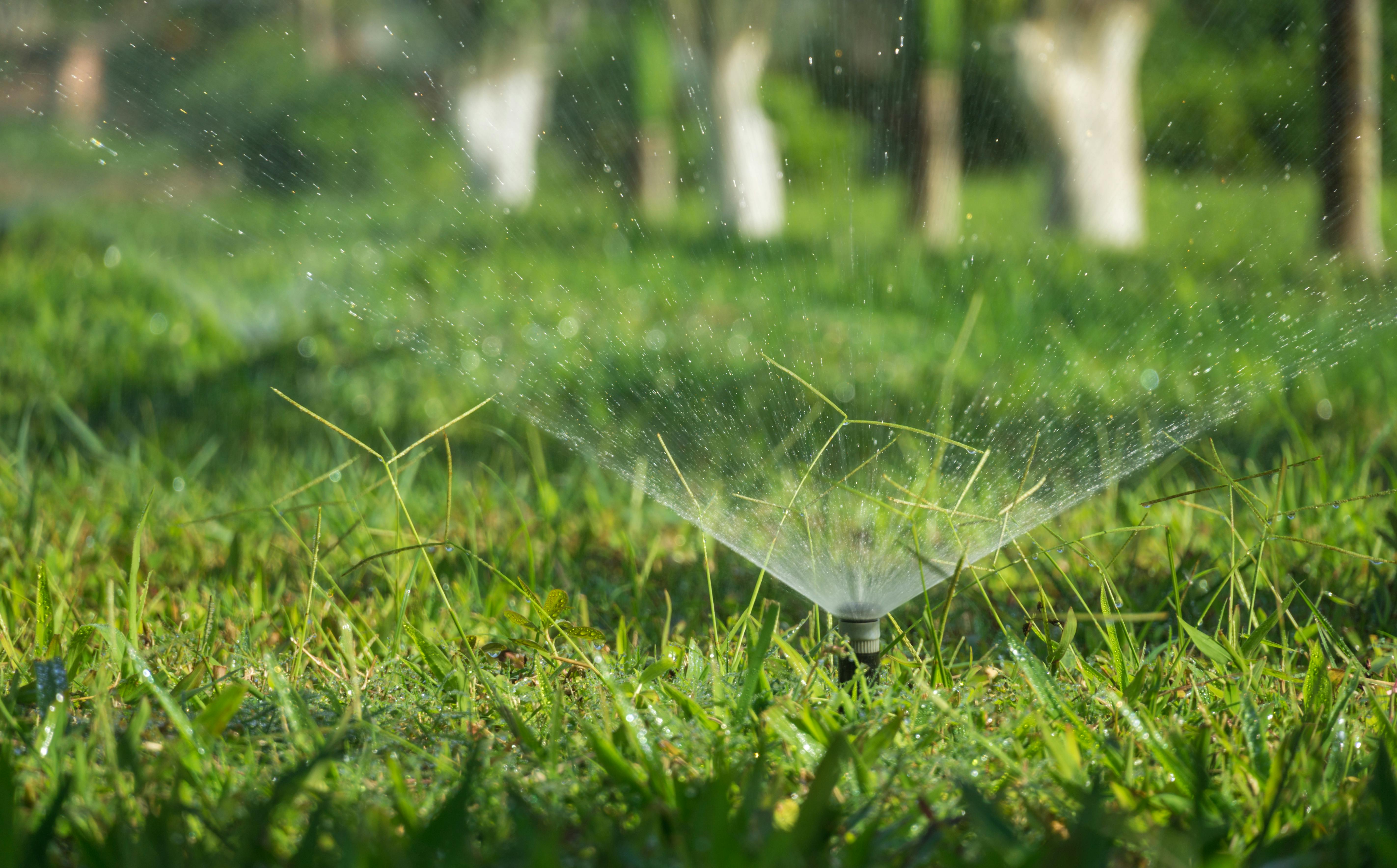 Sprinkler system running on a green lawn in Odessa TX
